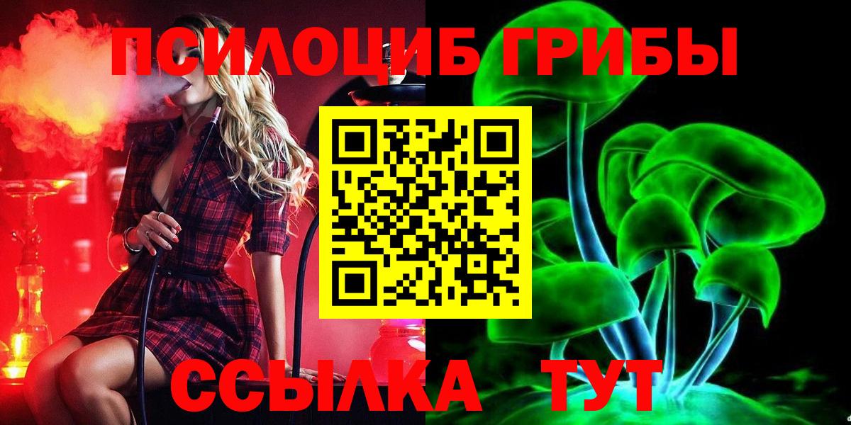 Псилоцибиновые грибы Psilocybine cubensis Красноуфимск